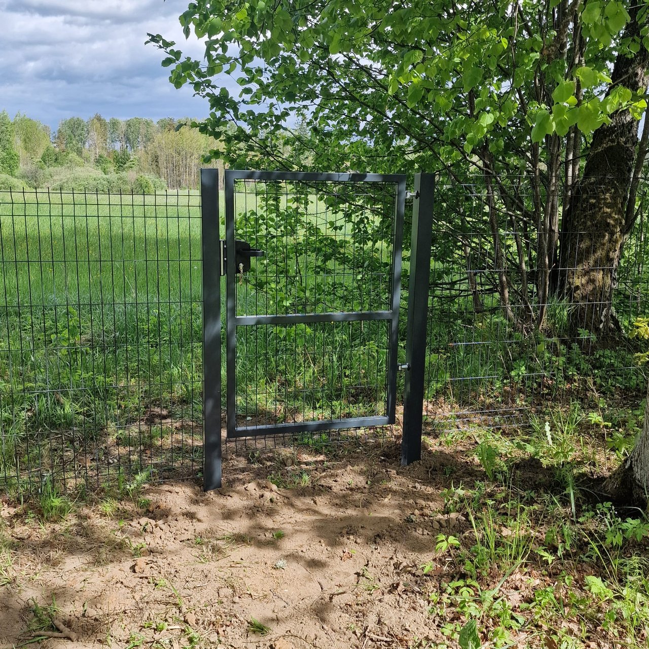 Väravad